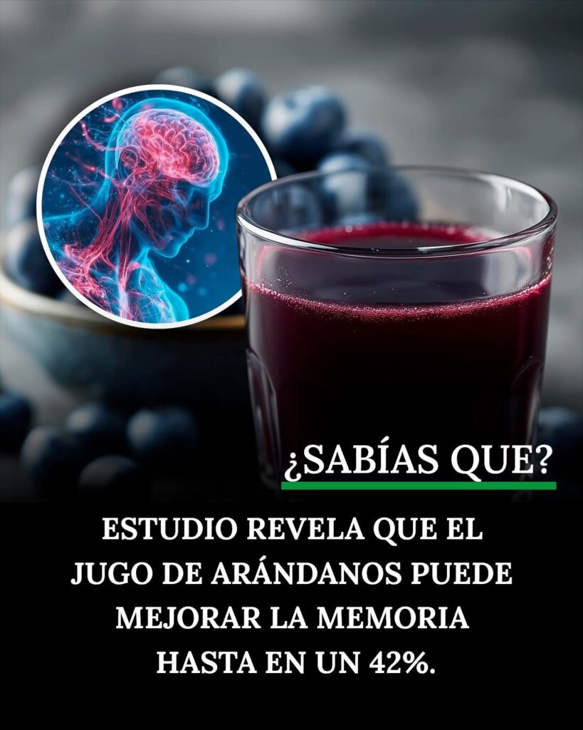 EL PODER DE LOS ARÁNDANOS EN LA MEMORIA