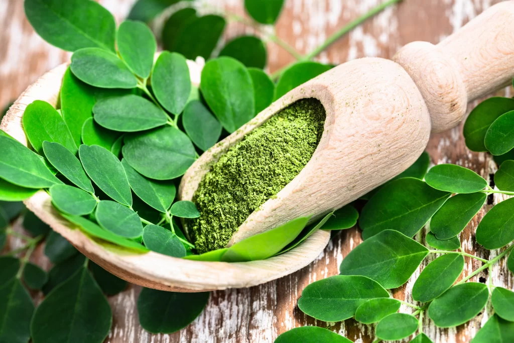 Conoce alguno de los beneficios de la moringa para la salud,