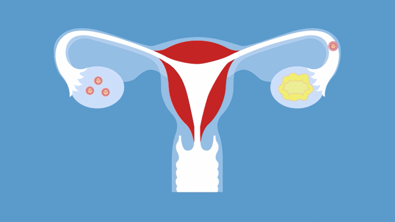 Claves para conocerte a través de tu ciclo menstrual..